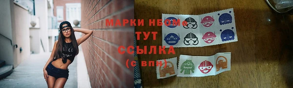 стафф Новодвинск