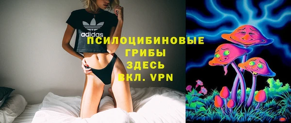 ECSTASY Новокубанск
