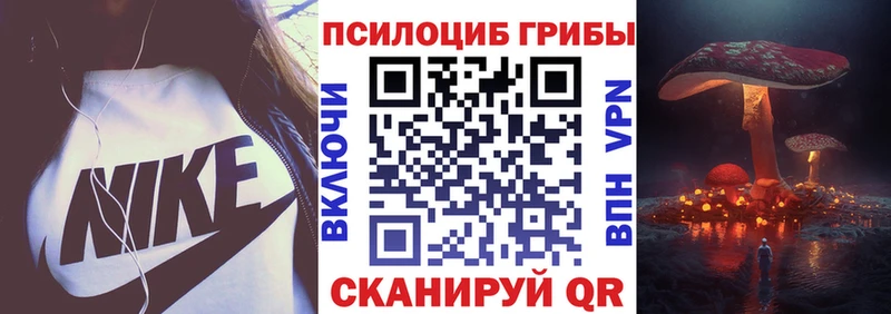где найти наркотики  Нерчинск  Псилоцибиновые грибы Cubensis 